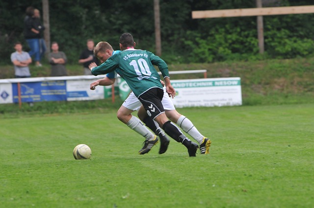 也为未来的 也为未来的