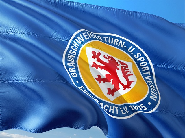 供了重要的 供了重要的