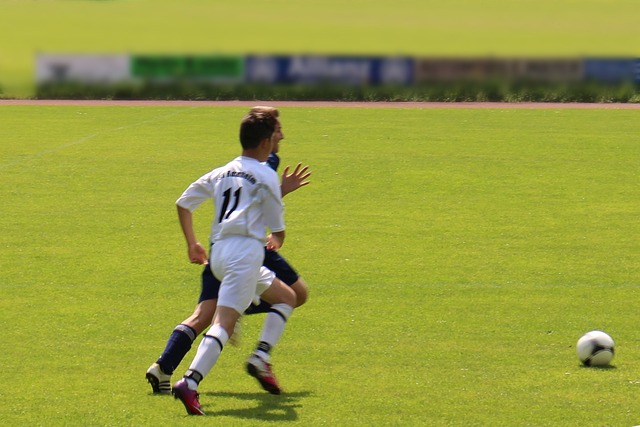 自加盟以来 自加盟以来