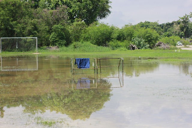 中崭露头角 中崭露头角