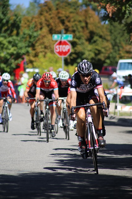 瑞士羽球公 瑞士羽球公