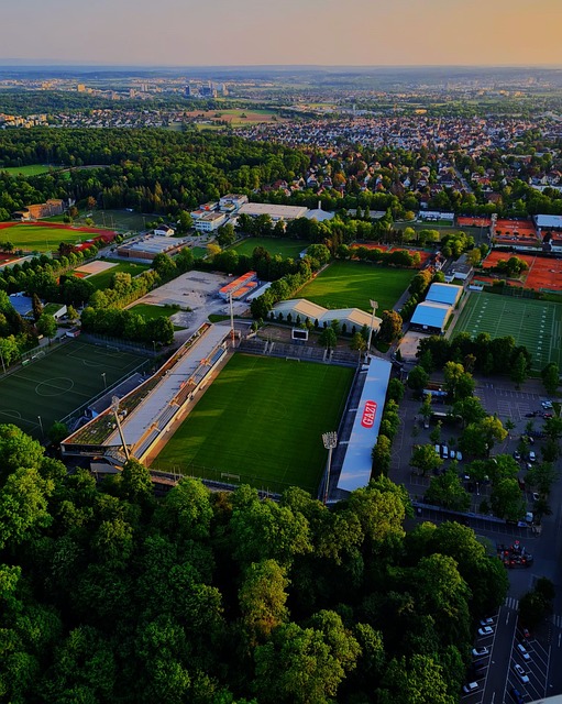 奉献了一场 奉献了一场