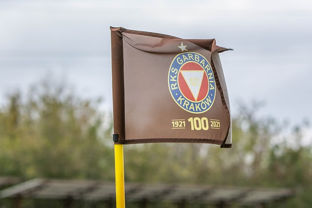 凭借什么优 凭借什么优