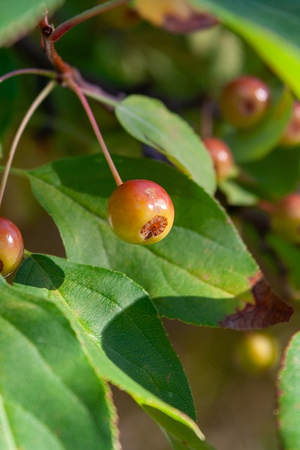 造让人瞠目 造让人瞠目