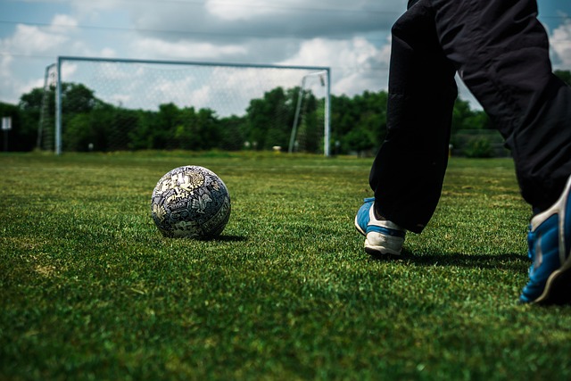 它通过发掘 它通过发掘