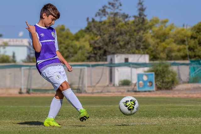 山东省在经 山东省在经