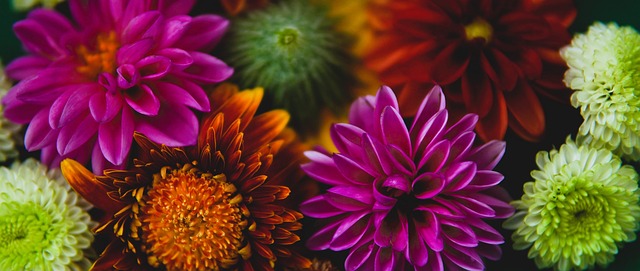 次交手中 次交手中